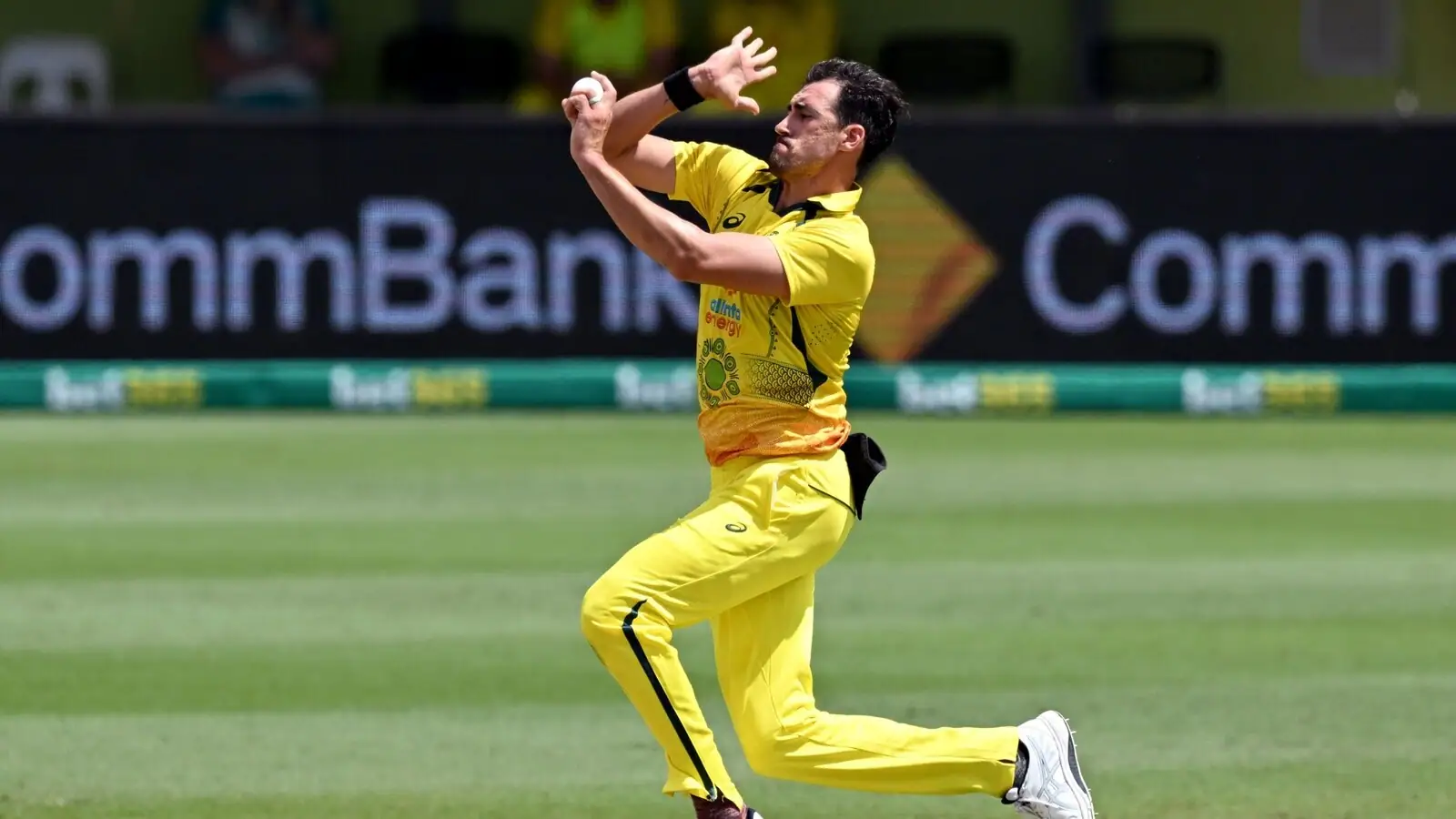Mitchell Starc Biography: The Swing King With A Big Heart