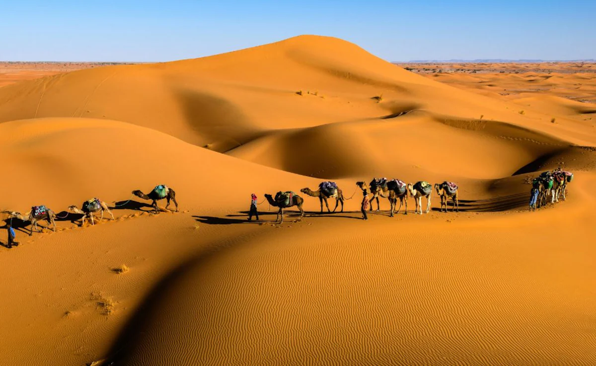Know about India’s Thar Desert Map, Facts & Information in 2026